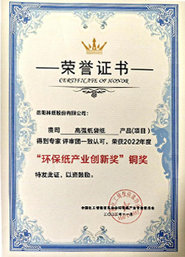 高強紙袋紙獲“環(huán)保紙產(chǎn)業(yè)創(chuàng)新獎”銅獎