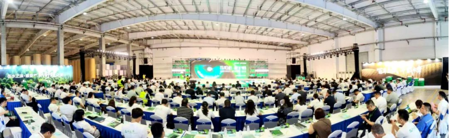 岳陽紙 愛護眼丨岳陽林紙“視界”新品，引領(lǐng)健康護眼新風潮